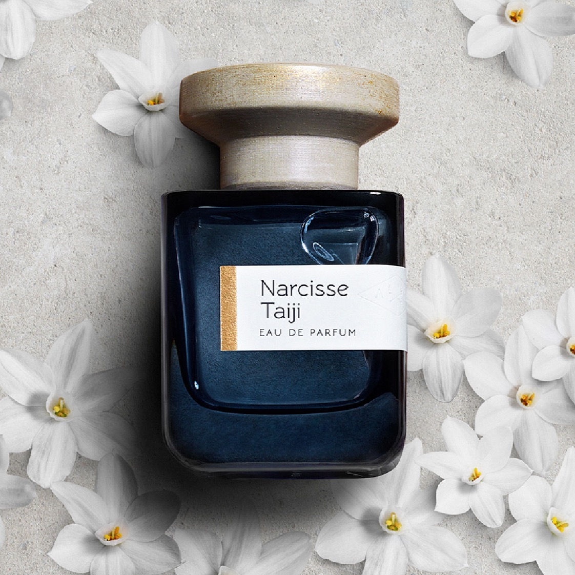 Narcisse taiji - ATELIER MATERI