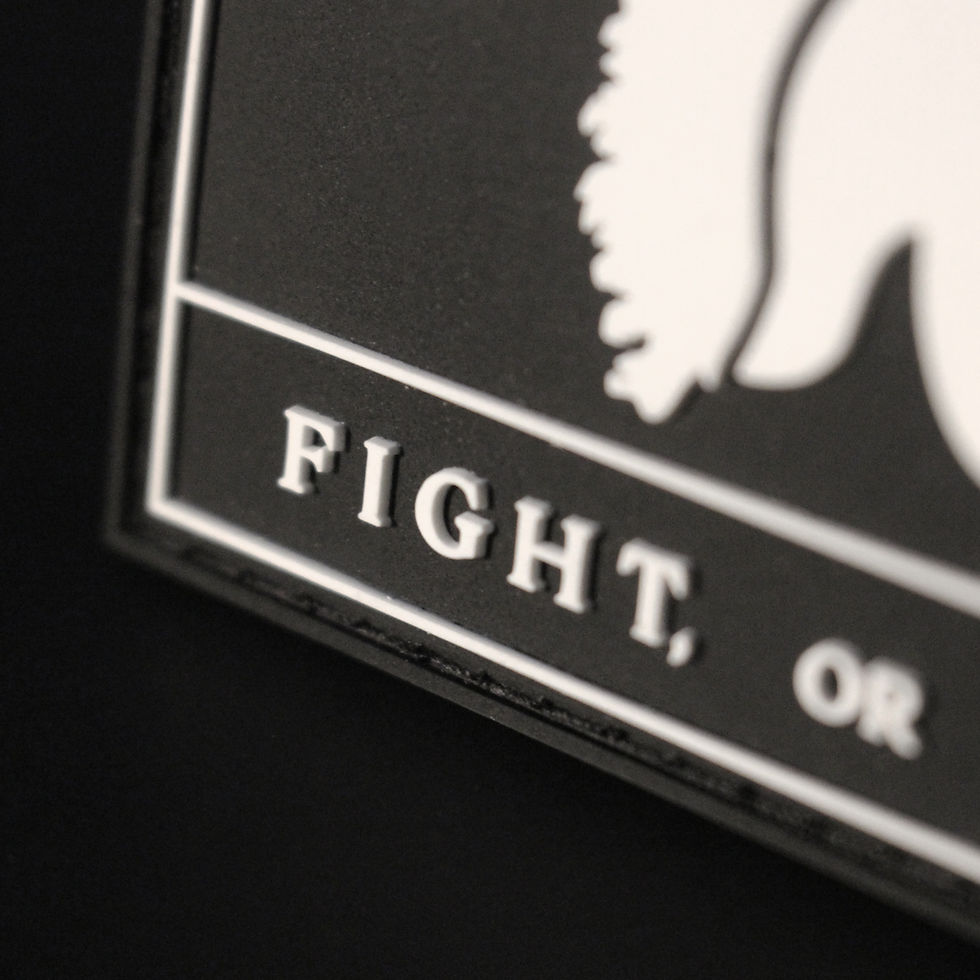 Thumbnail: FIGHT OR FALL Patch (PVC)