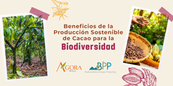 Biodiversidad en CACAO