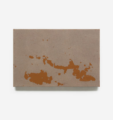 DiMASLA_Essay Brown. Land assesment.jpg