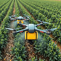 Drones as sprayers.jpg