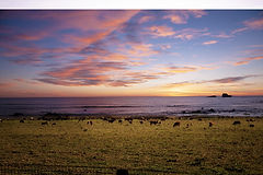 lhs_333333-coastal-4039524_1920.jpg