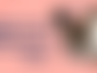 Norwegian Forest Cat Guide: Care, Personality & Health