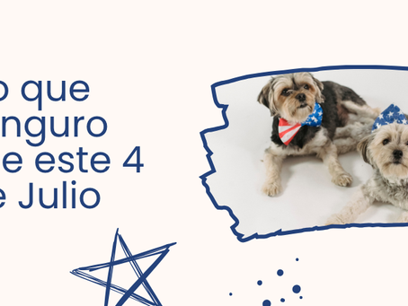 ¿El seguro para mascotas cubre medicamentos para la ansiedad por fuegos artificiales? Te contamos qué cubre Kanguro este 4 de julio