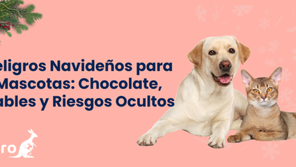 Peligros Navideños para Mascotas: Chocolate, Cables y Riesgos Ocultos