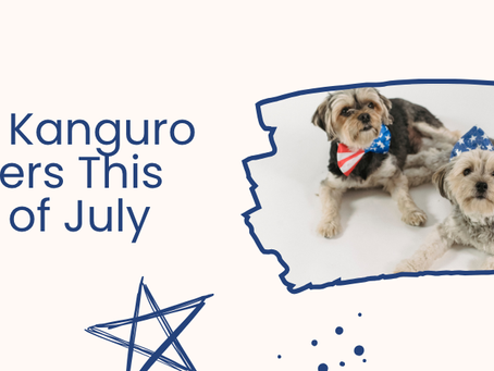 Does Pet Insurance Cover Anxiety Meds for Fireworks? What Kanguro Covers This 4th of July