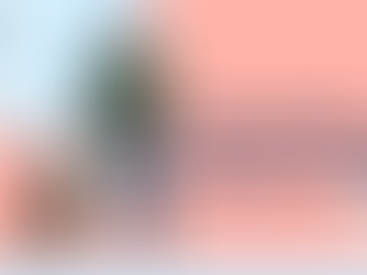 Entrenamiento de Cachorros 101: Cómo entrenar a tu cachorro