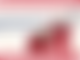 Adopta una Mascota Esta Navidad: Lo que Debes Saber Antes de Dar Este Paso