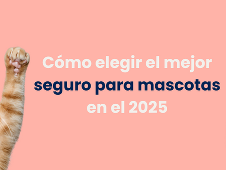 Cómo elegir el mejor seguro para mascotas 2025 – Guía completa para dueños responsables