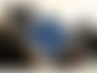 ¿Los Gatos Negros Dan Buena Suerte? La Verdad Detrás de Esta Creencia Antigua