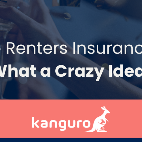 10 Hilarious Reasons Why You Need Renters Insurance