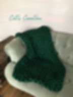 conifer blanket.jpeg