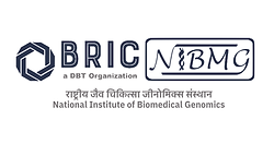 nibmg_og_tag (1).png