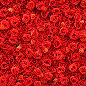Rose Flower Wall