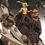 Thumbnail: Freedom Studio - Attack on Titan - Beast Titan Zeke Jaeger GK Resin Statues
