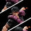 Thumbnail: Real World Studio - Jujutsu Kaisen 1/6th Scale Toji Fushiguro GK Resin Statue