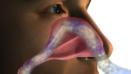 The Journey to Becoming a Nose Breather: Tips and Tricks