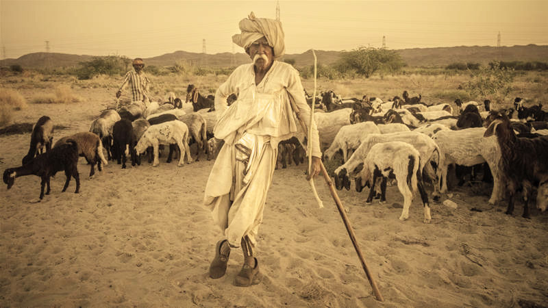 Thumbnail: Rabari Angrakha - Short Boria