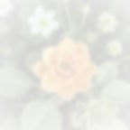 healing, plants, wellness_edited_edited.jpg