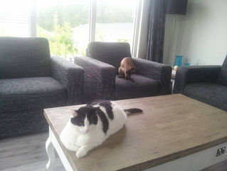 Droompark Spaarnwoude