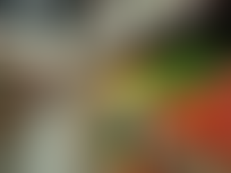 Exploring Food Assistance Programs for Families