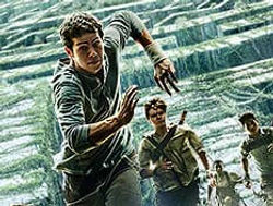 The Maze Runner