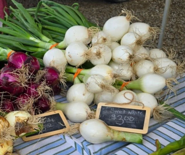Thumbnail: Sweet onions