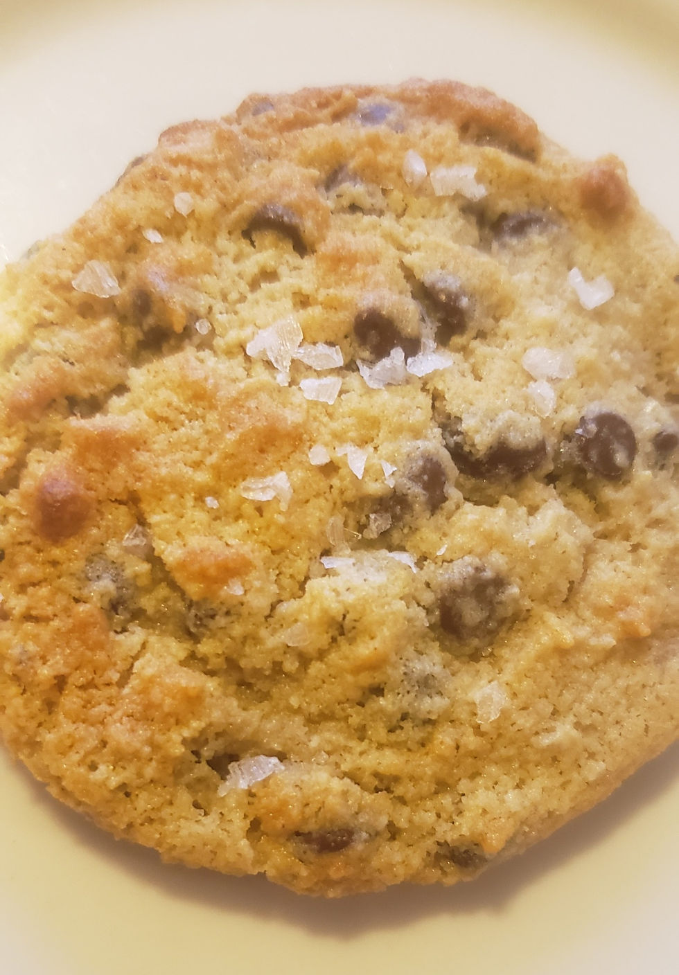 Salted Tahini Butter Chocolate Chip Cookie