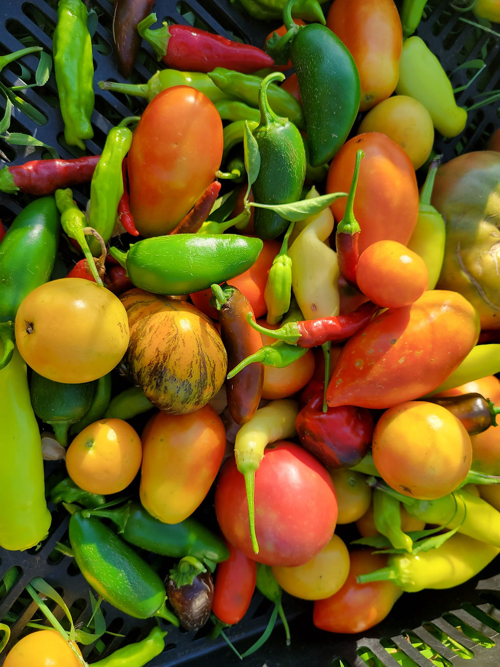 Thumbnail: Farmer's Choice Box