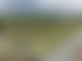 Del laboratorio a la cuenca: Soluciones basadas en la Naturaleza para recuperar el río Cauca