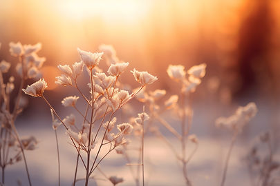 Systemische Ausbildung