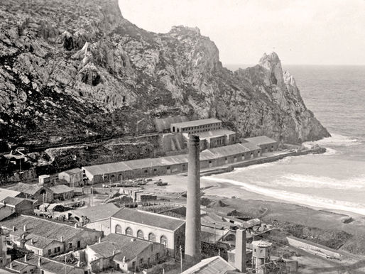 Archivio della memoria viva