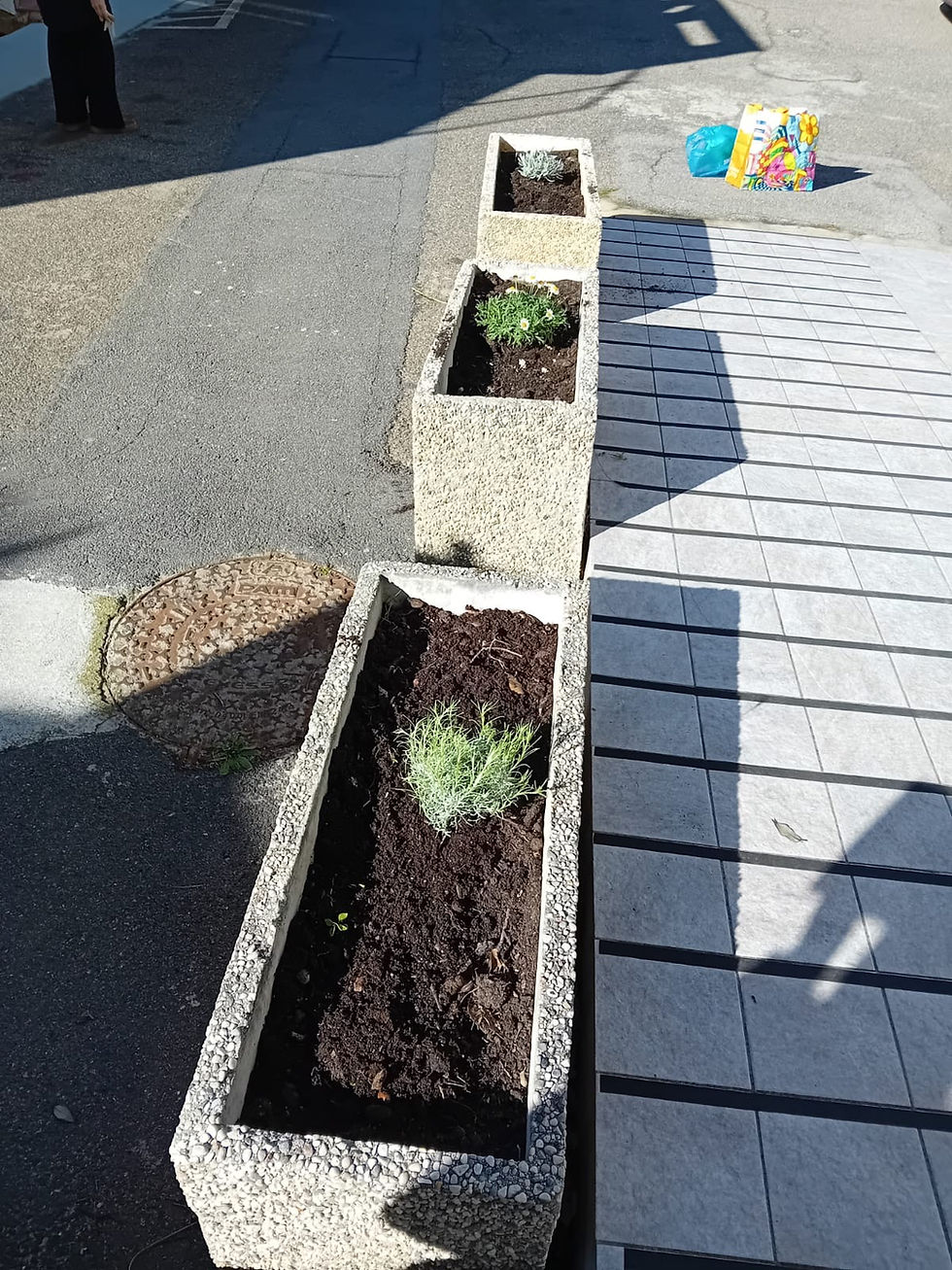 RIUNIONE CURA DEL VERDE