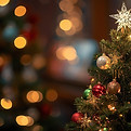 christmas tree.jpg