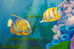 Tropical fish close up