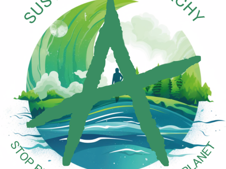 Sustainable Anarchy Notices - are these the only answer to inaction?