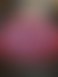 BAVAROIS GLACAGE MIROIR