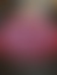 BAVAROIS GLACAGE MIROIR