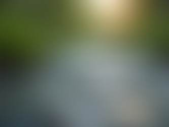 The Art of Mindful Living: Embracing Presence in Everyday Life