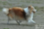 DSC_0147.jpg