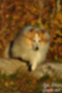 DSC_0527.jpg