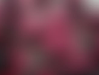 O Chá de Lingerie dos Seus Sonhos