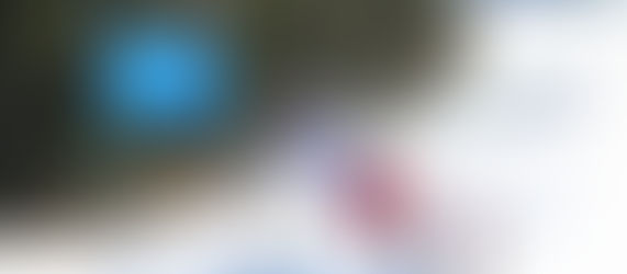 ÖWSC-UNIQA Riesentorlauf am 7.3.2021 in Turnau