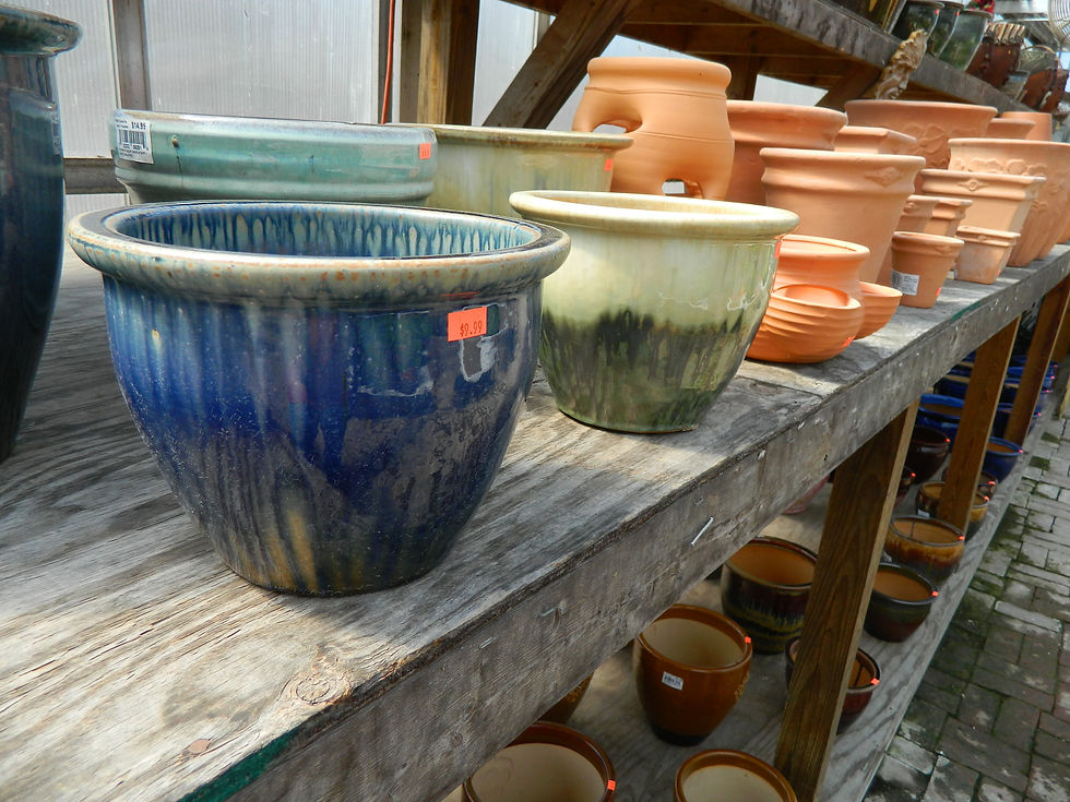 Assorted Pottery