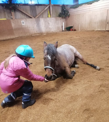 HORSEJOY