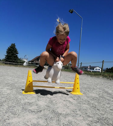 HORSEJOY