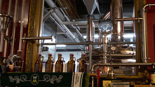 EXPERIMENTAN CON PROTEÍNAS PARA COMBATIR EL ALCOHOLISMO
