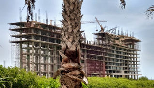 DERRUMBE EN CONSTRUCCIÓN HOTELERA DEJA LESIONADOS