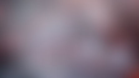 LA AFICIÓN DE CHIVAS LANZA CAMPAÑA EN CONTRA DE JORGE VERGARA