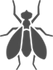 icon-flies.png